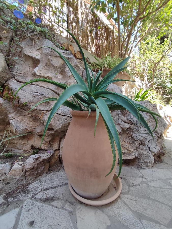 Les Galets Hotel Et B&B Bandol Dış mekan fotoğraf